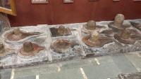 Devdarshana at Raja Ghat (26.03.2025)